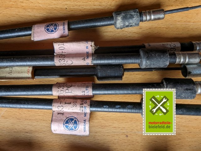 PXL_20240507_145939499